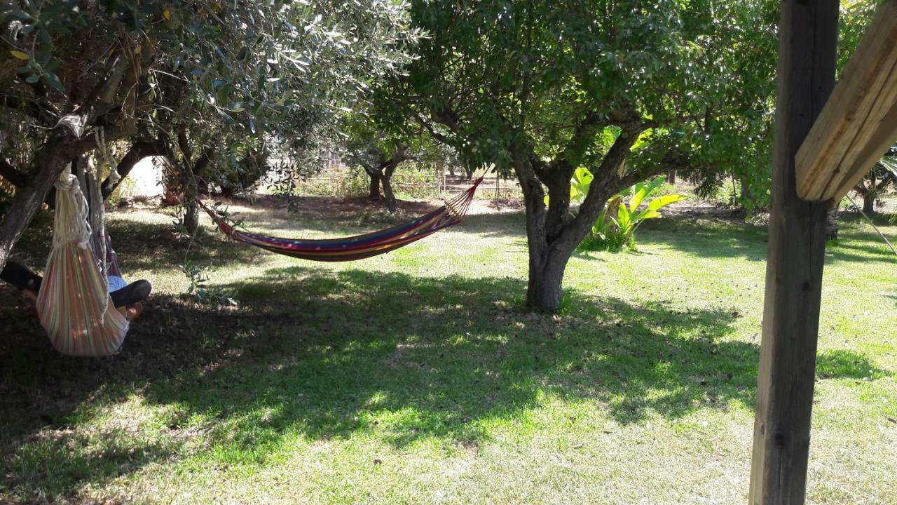 Kampia